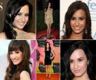 Demi Lovato is een actrice en zangeres van de Amerikaanse rock. Bekend voor haar rol als Mitchie Torres in Disney Channel Original Movie, Camp Rock