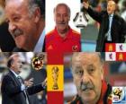 Vicente del Bosque de Spaanse bondscoach