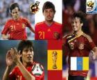 David Silva (kunst en hint) Spaanse nationale elftal Middenvelder