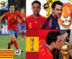 Xavi Hernandez (Het estafettestokje) Spaanse nationale elftal Middenvelder