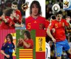 Carles Puyol (het hoofd van Spanje) Spaanse team de verdediging
