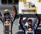 Webber viert zijn overwinning op de Hungaroring, Grand Prix van Hongarije (2010)