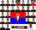 Team van CA Osasuna 2010-11