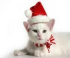 witte kat met Santa Claus hoeden