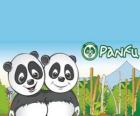 Panfu panda ter wereld