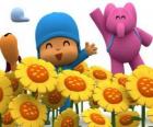 Pocoyo en zijn vrienden in een veld met zonnebloemen