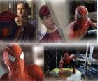 Diverse afbeeldingen van Spiderman
