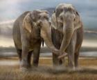 Twee grote olifanten met elkaar verweven stammen