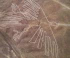 Luchtfoto van een van de figuren, een vogel, een deel van de Nazca-lijnen in de Nazca woestijn, Peru
