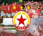 CSKA Sofia, de Bulgaarse voetbalclub