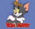 Tom en Jerry zijn de belangrijkste protagonisten van de grappige avonturen