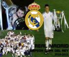 Real Madrid Copa del Rey 2010-2011 kampioen