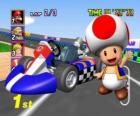 Toad met een kart. Toad is een burger van het Mushroom Kingdom en trouwe dienaar van Princess Peach