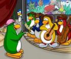 De Penguin Band, Billy G op drums en fluit, Petey K op piano en accordeon, Bob op bas en gitaar Franky.