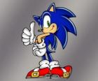 Sonic egeltje, de hoofdpersoon van de Sonic videogames van Sega