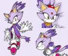 Blaze the Cat, een prinses en een van de vrienden van Sonic