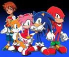 Sonic en andere personages uit de Sonic videogames