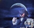 Sonic the Werehog, de nieuwste Sonic transformatie, nachts transformeert in een wolf egel