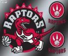 Toronto Raptors logo, de NBA-team. Atlantic Division, Eastern Conference