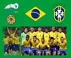 Brazilië National Team, Groep B, Argentinië 2011