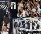 Copa Libertadores 2011 kampioen Santos FC