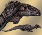 Zupaysaurus was een middelgrote theropode, reikend tot 4 m lang, 1,20 lang en een gewicht van 200 kg