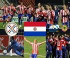 Finalist Paraguay, Copa America Argentinië 2011