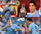 Luis Suarez de beste speler in de Copa America 2011