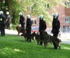 Agenten van de oproerpolitie met honden