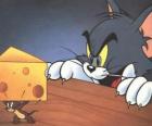 Tom de kat verrast Jerry de muis om het nemen van een stukje kaas