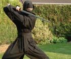 Ninja strijder en het gevecht met de katana