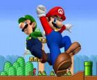 Mario en zijn broer Luigi, de meest beroemde loodgieters