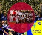 2011 FIFA Fair Play Award voor de Japan Football Association