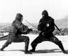 Strijd tussen twee ninjas