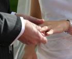 De hand van de bruid met de ring en de hand van de bruidegom