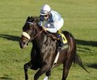 Paard en jockey op een paard race op het circuit