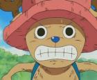 Tony Tony Chopper is een medisch deskundige die wordt omgezet in een antropomorfe schepsel