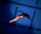 Een vrouwelijke duiker sprong voorwaarts