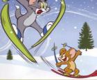 Tom en Jerry in de sneeuw met skis