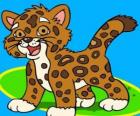 Baby Jaguar, de kleine jaguar is de beste vriend van Diego