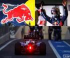 Sebastian Vettel - Red Bull - 2012 Abu Dhabi Grand Prix, 3e ingedeeld