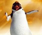 Ramon, de leider van de pinguïn van de club Los Amigos