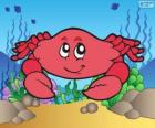 Tekening van krab