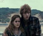 Hermione Granger en Ron Weasle