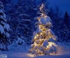 Besneeuwde kerstboom