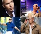 Pitbull (Armando Christian Perez), is een muziekproducent van Cubaanse afkomst