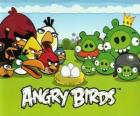 Vogels, eieren en groene varkens in Angry Birds