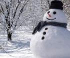 Sneeuwpop met hoed en sjaal