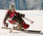 Paralympische skiër in de slalom