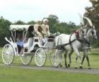 Witte vervoer getrokken door twee witte paarden